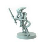Fallen Mystical Warrior Legion - Shatterpoint Miniature