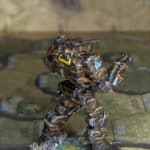 Mecha Lootbox – Unbox the Unknown photo review