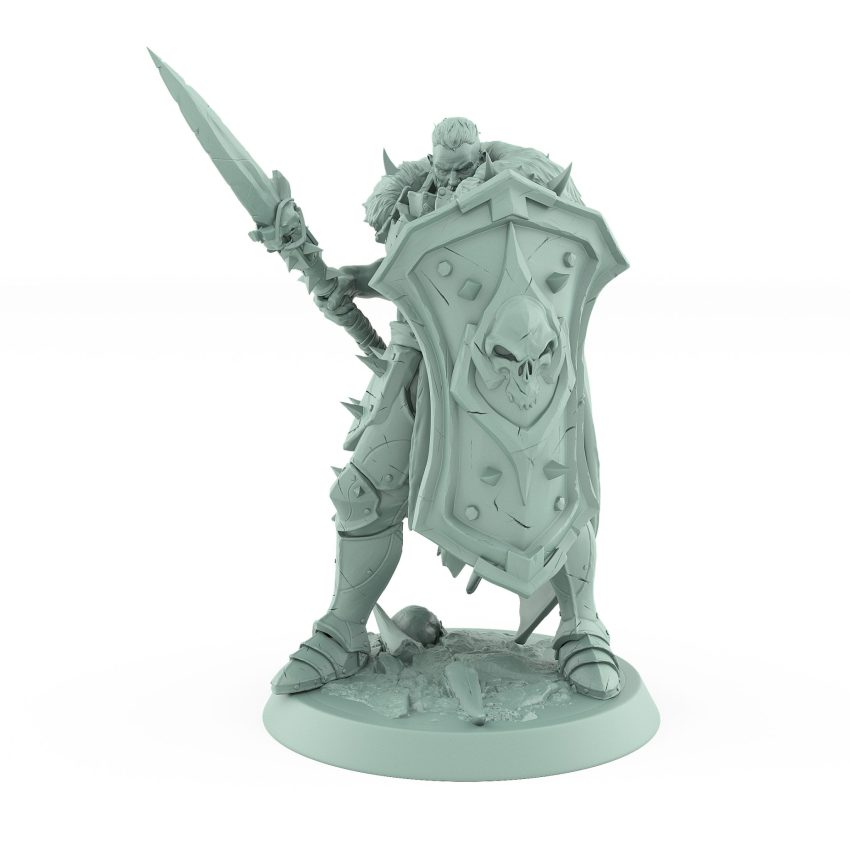 skull-shielded fantasy warrior in defensive stance with spear and cloak