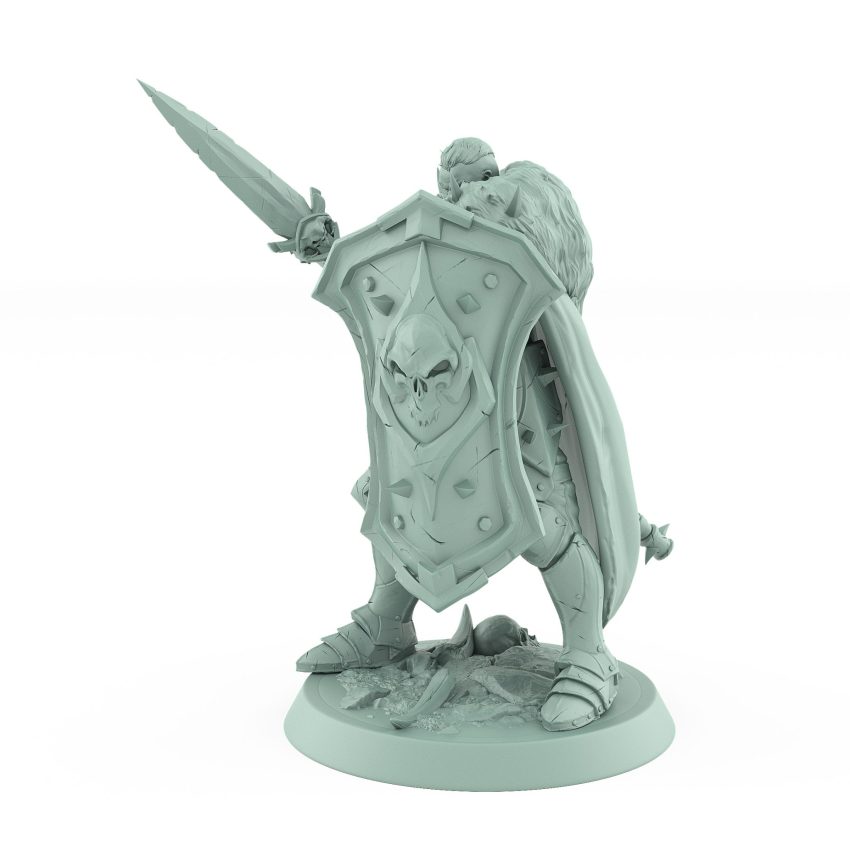 skull-shielded fantasy warrior in defensive stance with spear and cloak