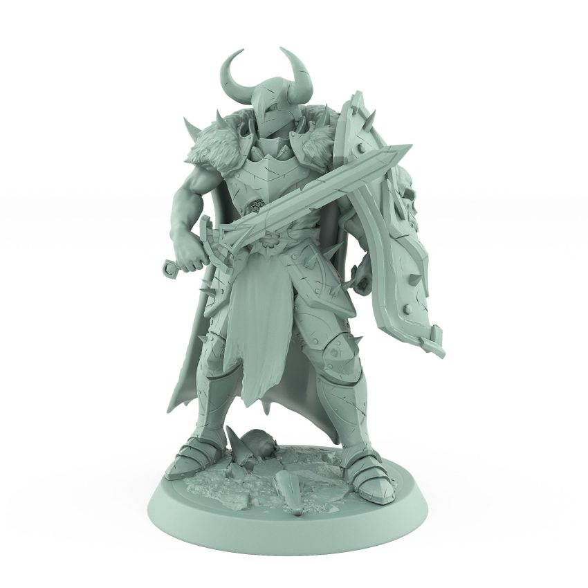 armored human warrior with skull shield and sword in poised stance