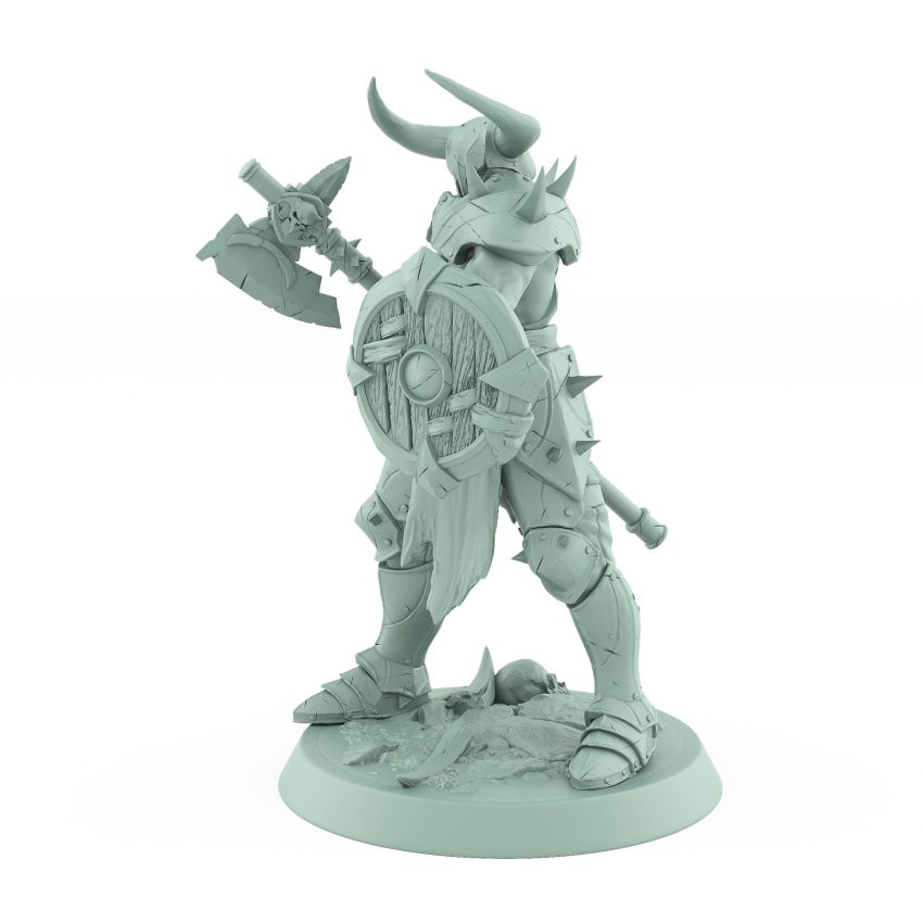 human ranger holding axe and wooden shield in defensive pose on battlefield