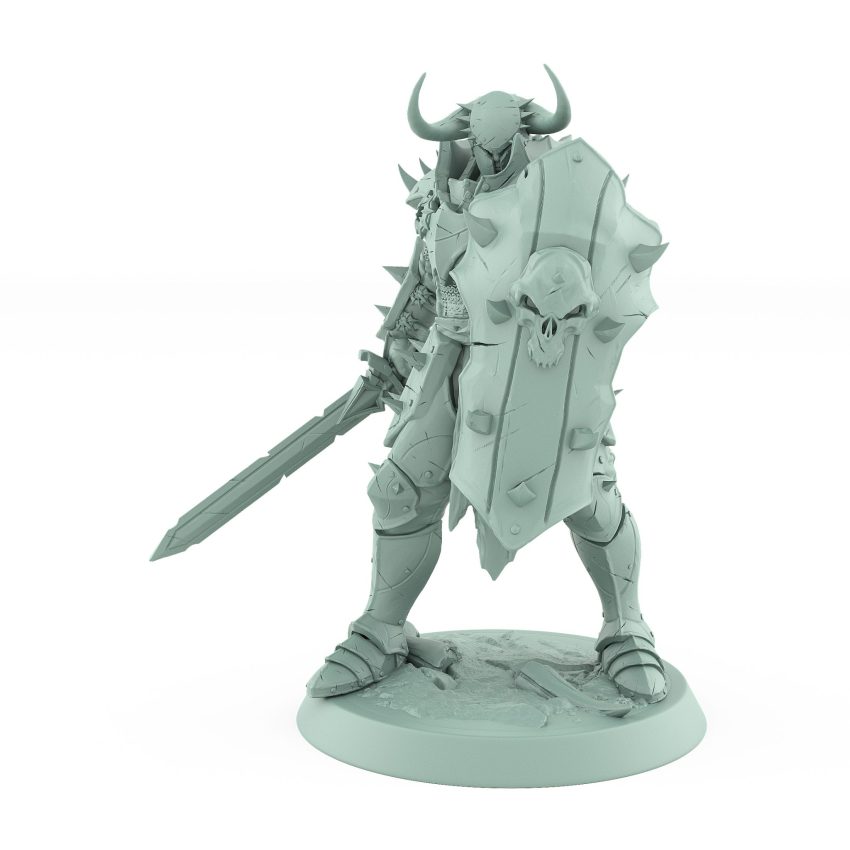 warrior in defensive pose holding a large skull-decorated shield and sword ready stance from unchained collection