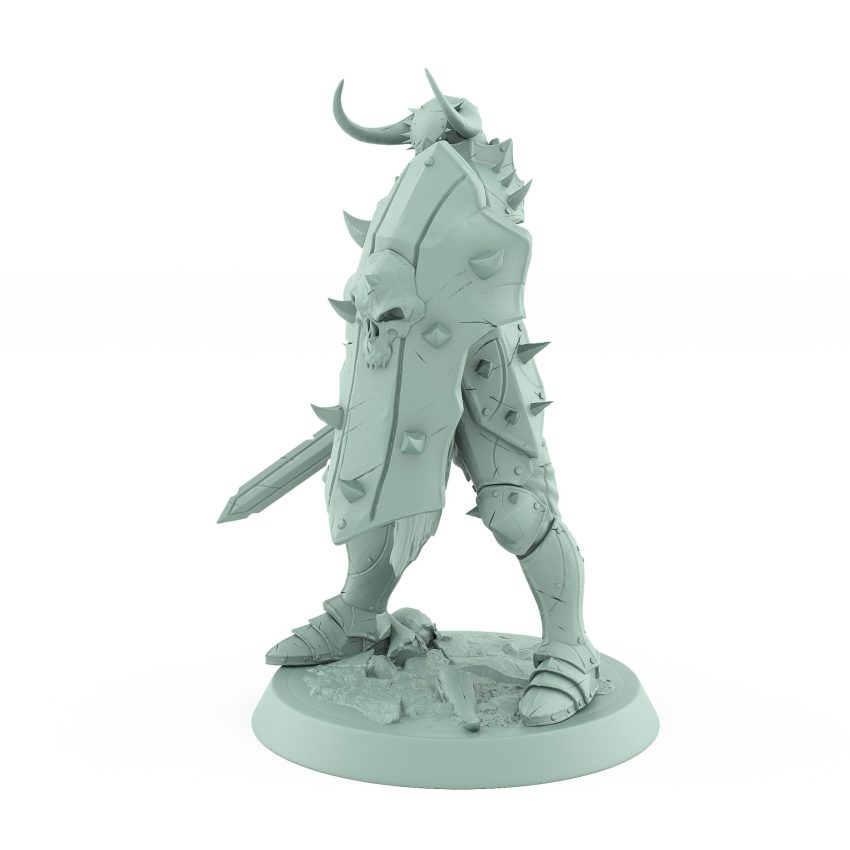 warrior in defensive pose holding a large skull-decorated shield and sword ready stance from unchained collection