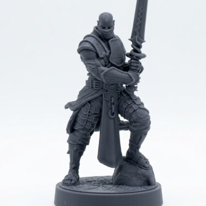 Beloved Champion - Gray Resin 3D Printed Miniature