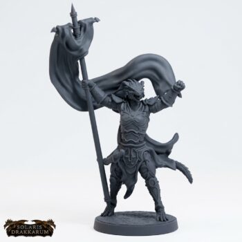 Drakkari Crusader 7 Bannerwoman - Gray Resin 3D Printed Miniature
