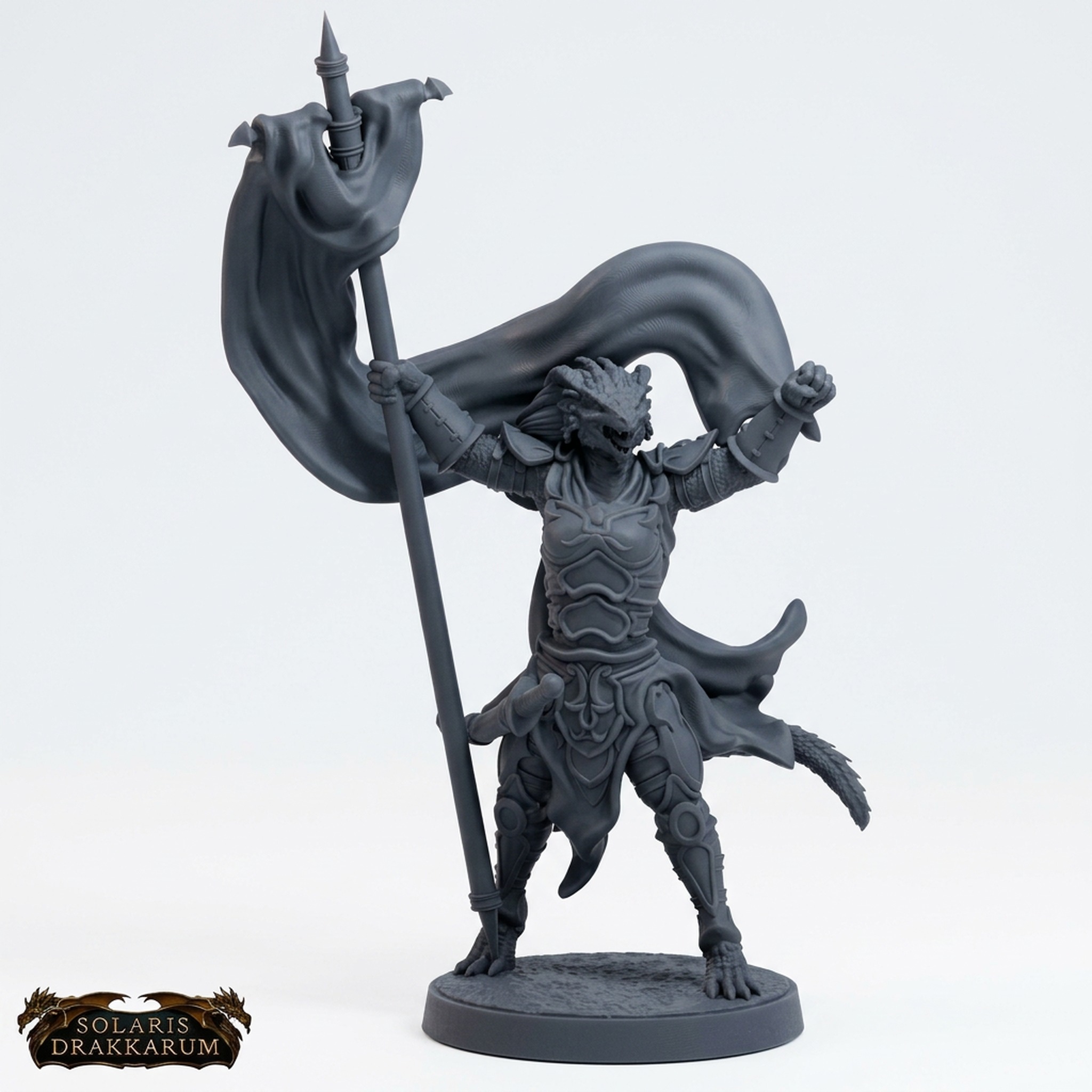 Drakkari Crusader 7 Bannerwoman - Gray Resin 3D Printed Miniature