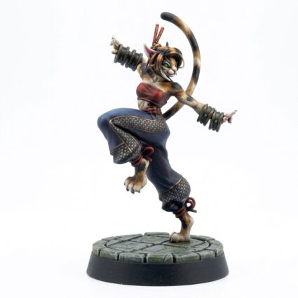 Catfolk Monk B - Painted 3D Printed Miniature