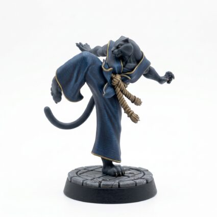 Catfolk Monk C - Painted 3D Printed Miniature