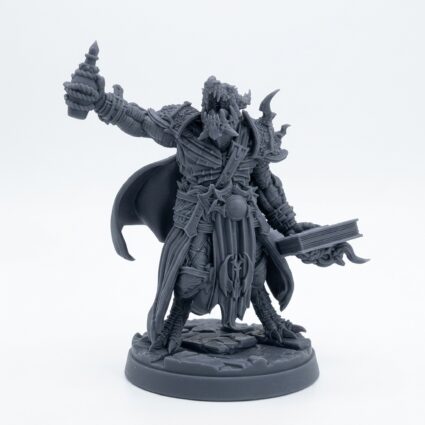 Drakkensage Council D - Gray Resin 3D Printed Miniature