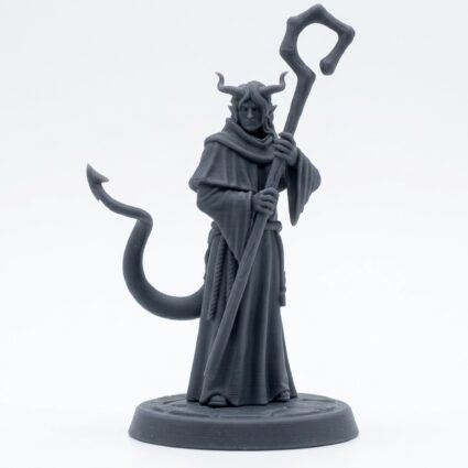 Hellswake Wardlighter B - Gray Resin 3D Printed Miniature