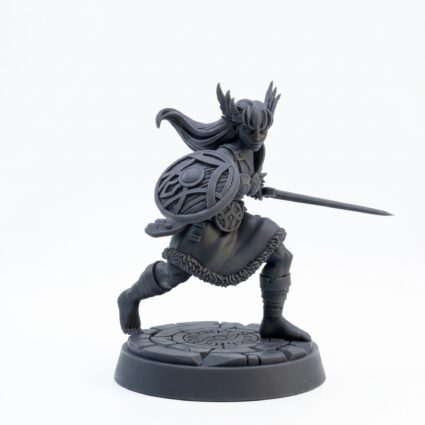 Shield Valkyrie - Gray Resin 3D Printed Miniature
