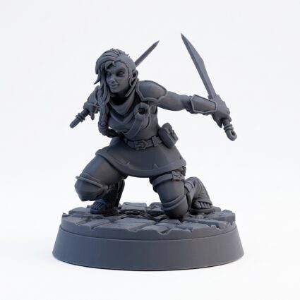 Two Swords Rogue - Gray Resin 3D Printed Miniature
